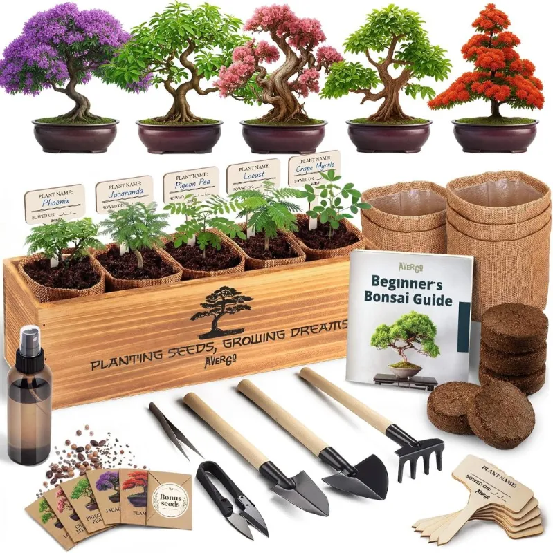 Kit para cultivar cinco bonsáis
